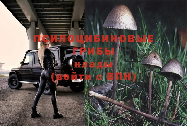 шишки Нефтекумск